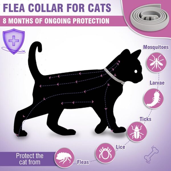 Flea Collar for Cats 4 Pack Cat Flea Collar 8 Months Long-Term Protection Natural Cat Flea and Tick Collar Waterproof Kitten Flea Collar Suitable for all Cats Flea and Tick Collar for Cats Flea Collar - Image 2