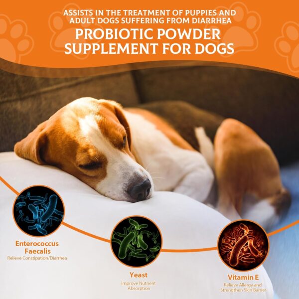 Probiotics for Dogs - Probiotic Powder for Dogs, Dog Probiotics for Immune and Digestive Health -120 Scoops Liver Flavored Probiotic supplement - Image 3