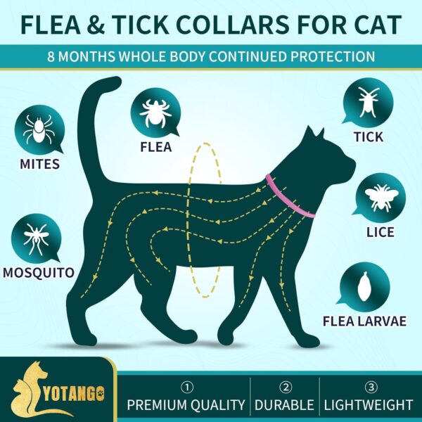 4 Pack Flea Collar for Cats, Cat Flea and Tick Collar 8 Months Cat Flea Collar Treatment Prevention, Adjustable Waterproof Cat Flea Collar Kitten Natural Tick and Flea Collar for Cat (Pink&Purple) - Image 2