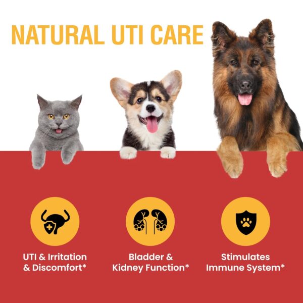 Urinary Tract Infection Treatment for Cats and Dogs - Cranberry UTI Supplement, Kidney and Bladder Support, 4 oz - Image 3