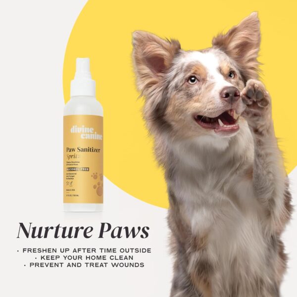 Paw Sanitizer Spritz - Dog Paw Cleaner - Cleans & Protects Paw Pads - Dog Grooming - Soothing Cleaning & Conditioning - Copaiba Oil, Vitamin E - Nourish & Sanitize Paws No-Rinse - 5.1 oz - Image 5