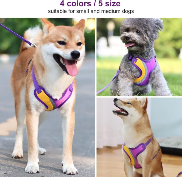 BEYFIRG_ Dog Harness and Leash Set for Small and Medium Sized Dogs, Lightweight & Soft Puppy Harness, Adjustable and Reflective Harness Set for Training, Walking (S, Purple) - Image 3