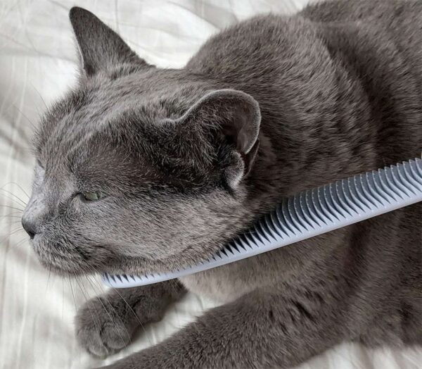 Nekojasuri Cat Groomer (Not a brush). The original. Patented, multi-awaded and expertly crafted in Japan to closely resemble a cat's tongue. Make your cat swoon! (Grey)