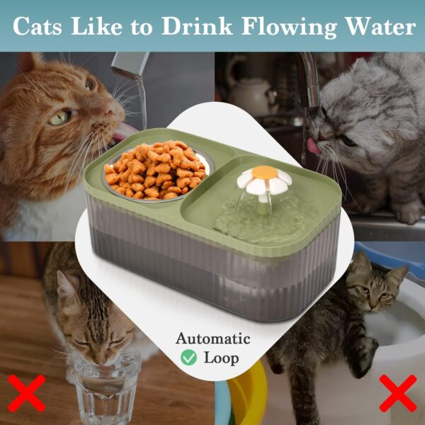 TODDLT Water Fountain for Cats Inside, Cat Feeding & Watering Supplies, Super Quiet Automatic Pet Water Dispenser 100oz/3L with Stainless Steel Cat Bowls and Long Life Span Pump - Image 2