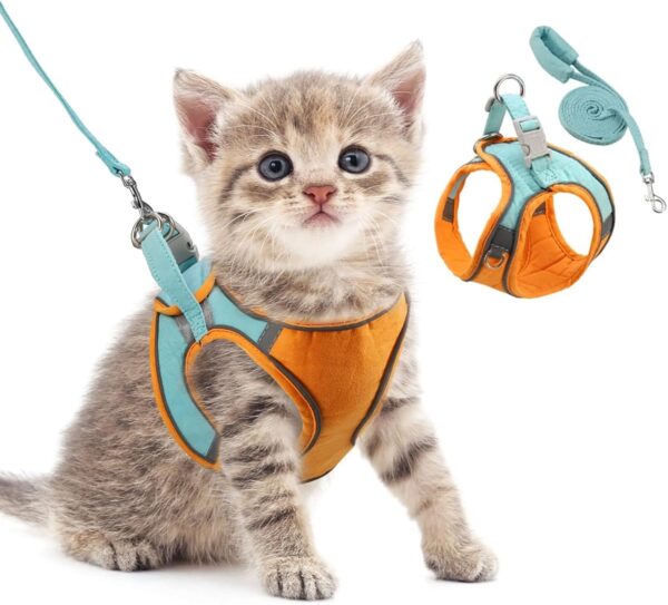 ORIA Pet Harness, Dog Harness, Cat Harness and Leash Set, Breathable Pet Vest, Reflective Strips Jacket for Small Kitten, Puppy, Rabbit, Orange and Blue, XXS