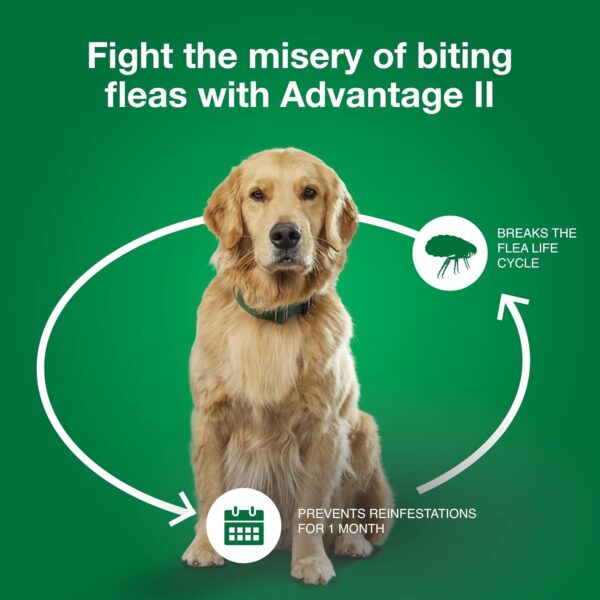 Advantage II Medium Dog Vet-Recommended Flea Treatment & Prevention | Dogs 11-20 lbs. | 4-Month Supply - Image 7