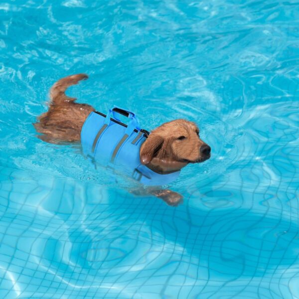 SAWMONG Dog Life Jacket,Dog Swimming Vest with Ripstop and High Flotation for Small Medium Large Dogs,Reflective Lightweight Dog Life Preserver with Rescue Handle for Swimming Boating Blue XL - Image 6