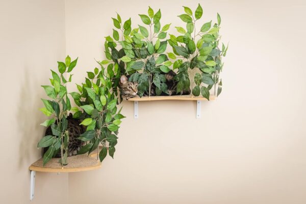 On2Pets Cat Shelves Wall-Mounted Cat Trees Cat Furniture for Climbing, Playing and Relaxing, Set of 2, Indoor Cat Shelf Made in USA… (Zen Green, Curved) - Image 3