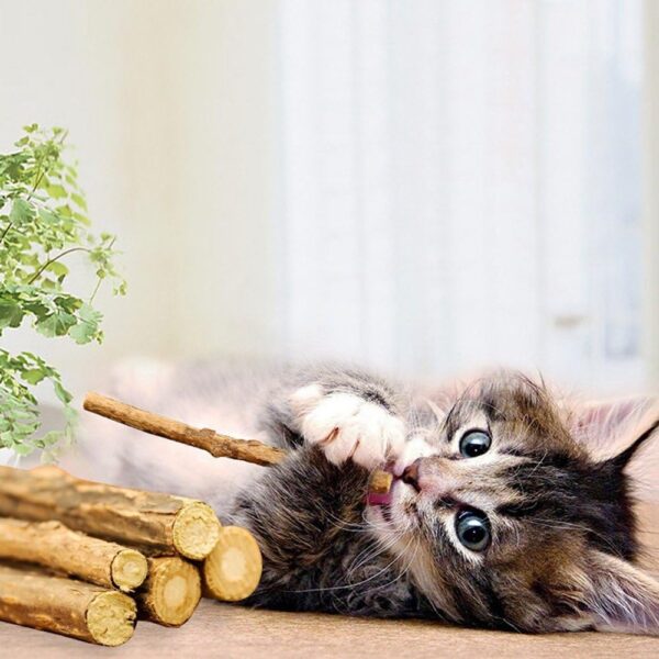 Silvervine Sticks for Cats, Natural Catnip Sticks Matatabi Chew Sticks Teeth Molar Chew Toys for Cat Kitten Kitty (at Least 12 PCS) - Image 6