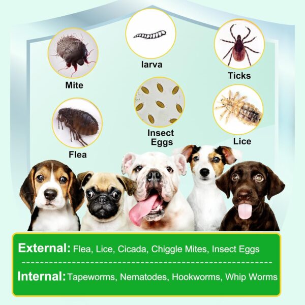 Flea & Tick Prevention for Dogs Chewable, Natural Flea and Tick Supplement for Dogs, 150 Flea and Tick Chews for Dogs, Oral Flea Pills for All Breeds and Ages Dogs - Image 2