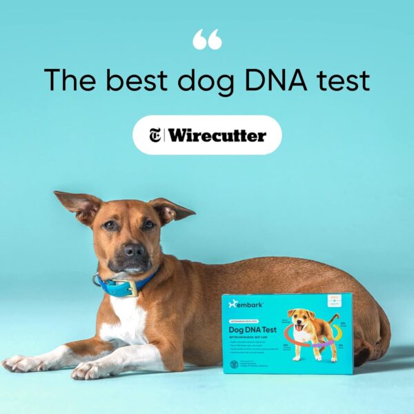 Embark Breed & Health Kit - Dog DNA Test - Discover Breed, Ancestry, Relative Finder, Genetic Health, Traits, COI - Image 5