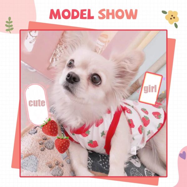 Small Dog Shirt Cute Puppy Cat T Shirt Clothes Soft Cotton Sleeveless Tee Shirts for Small Dogs Cats Summer Doggy Vest Tee Shirt Chihuahua Yorkie Shih Tzu Pet Apparels(Red Strawberry,XS) - Image 6