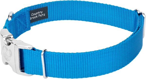 Country Brook Petz Premium Nylon Dog Collar with Metal Buckle for Small Medium Large Breeds - Vibrant 30+ Color Selection (Large, 1 Inch, Ice Blue) - Image 7