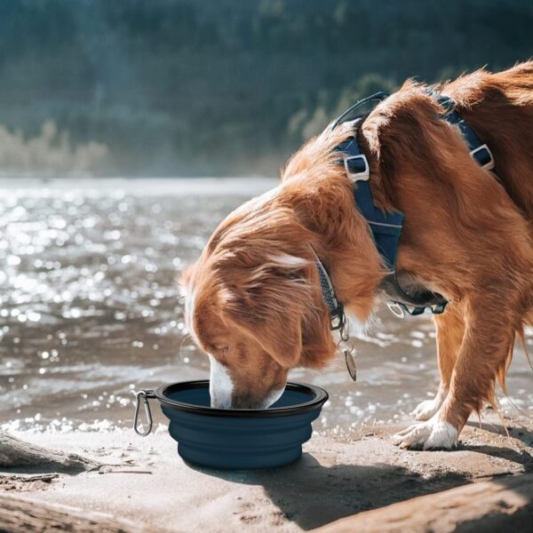 COOYOO Collapsible Dog Bowl,2 Pack Collapsible Dog Water Bowls for Cats Dogs,Portable Pet Feeding Watering Dish for Walking Parking Traveling with 2 Carabiners - Image 4