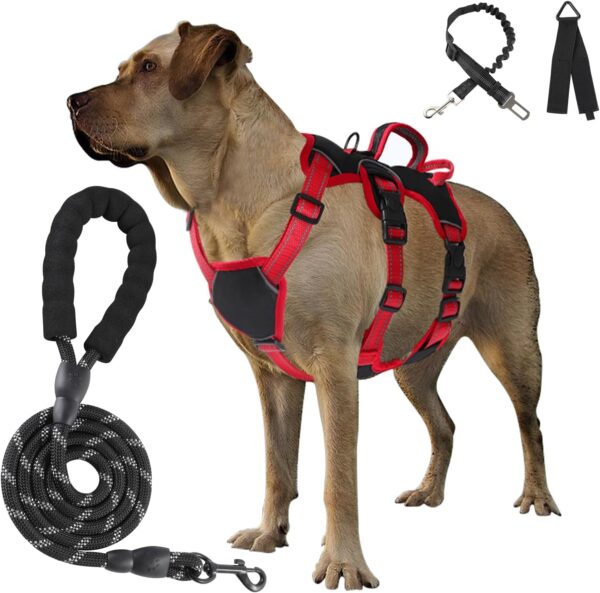 Escape Proof Dog Harness Medium Sized Six Point Adjustable, Soft Padded Full Body No Pull Dog Harness and Leash Set, Reflective Dog Vest Harness with Handle, Dog Harness for Medium Size Dog（Black, M