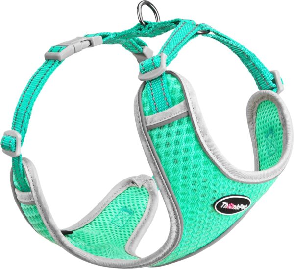 ThinkPet Reflective Breathable Soft Air Mesh No Pull Puppy Choke Free Over Head Vest Harness for Puppy Small Medium Dogs and Cats Teal Small