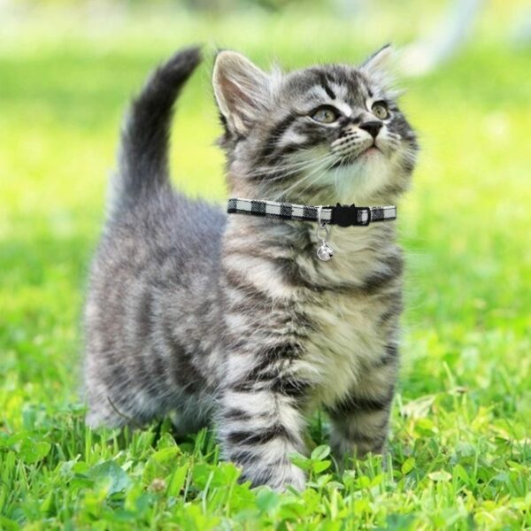 MJIYA Cat Collar with Bell, Breakaway Grid Collar with Plastic Buckle, Light Adjustable, Nylon, Kitty Collars - Image 5