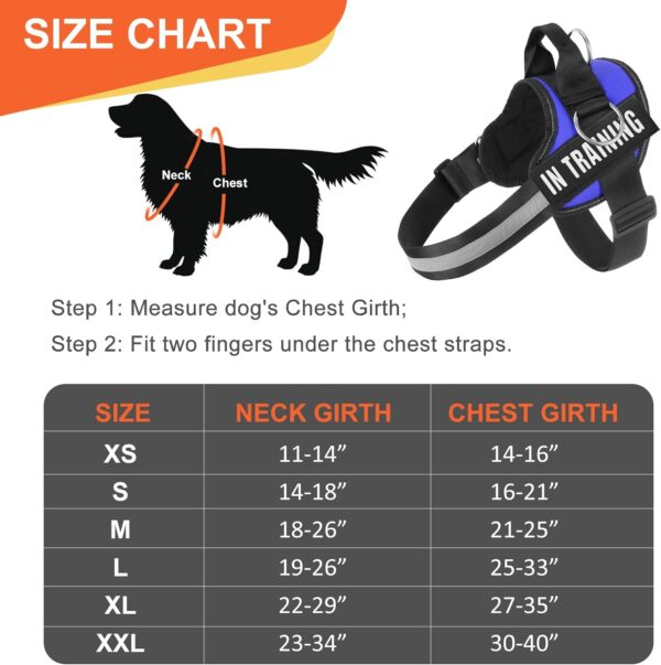 Essential Dog Harness, No Pull Pet Harness with 3 Side Rings for Leash Placement, No Choke, Reflective, Adjustable Pet Vest, Easy On-Off & Improved Control Handle, Training, Walking, Running Blue - Image 3