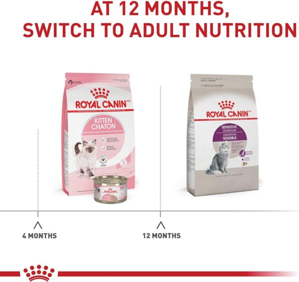 Royal Canin Feline Health Nutrition Sensitive Digestion Cat Food Dry Formula, Balanced Nutrition to Support Digestive Health, 7 lb Bag - Image 5