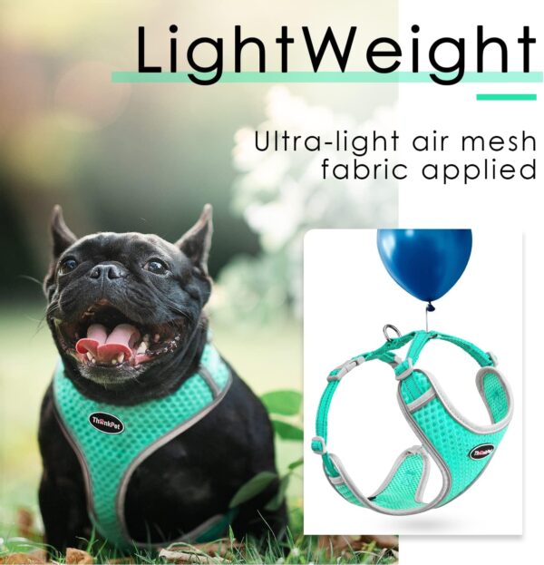 ThinkPet Reflective Breathable Soft Air Mesh No Pull Puppy Choke Free Over Head Vest Harness for Puppy Small Medium Dogs and Cats Teal Small - Image 3