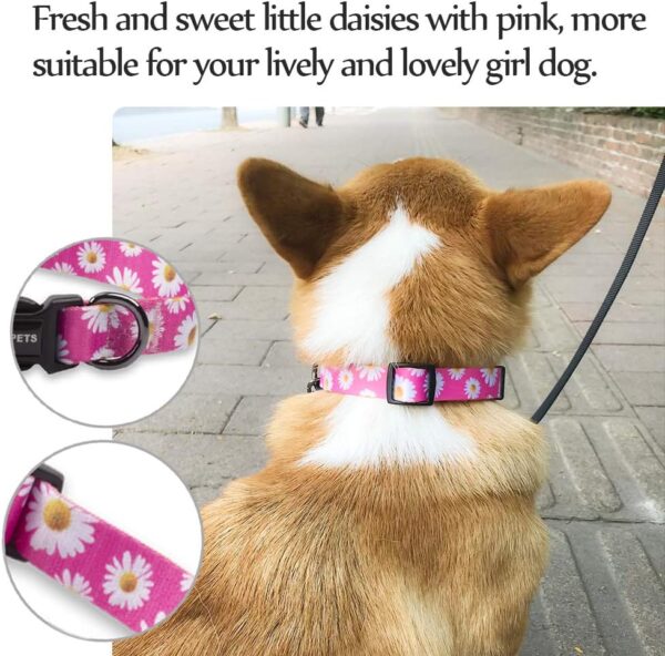 QQPETS Adjustable Soft Dog Collar: Print Flower Pink Multicolor Cute Patterns for XS Small Medium Large Pet Girl Boy Puppy Walking Running Training (S, Small Daisies) - Image 2