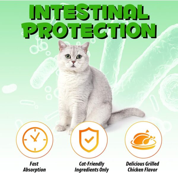 Cat Constipation Relief, Cat Constipation Liquid Drops Supports Cats Laxative Relief - Pet Herbal Supplements for Cats, Cat Laxative Constipation Relief, Chicken Flavour - 2 Fl Oz / 60ml - Image 5