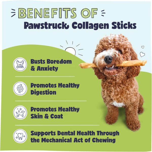 Pawstruck Natural Large 12" Beef Collagen Sticks for Dogs - Healthy Long Lasting Alternative to Traditional Rawhide - High Protein Treats w/Chondroitin & Glucosamine - 5 Count - Packaging May Vary - Image 2