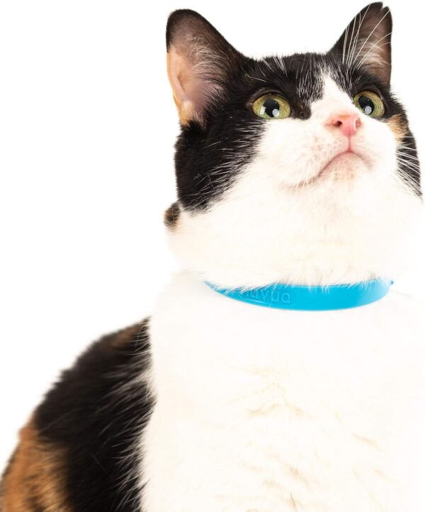 Comfortable, Soft and Light Cat Collar with Breakaway Snap Button (Blueberry Blue) - Image 3