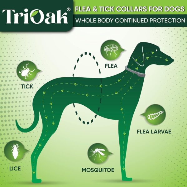 Flea Collar for Dogs: Advanced Dog Flea Collar - Tick Collar for Dogs - Flea and Tick Collar for Dogs - Dog Flea and Tick Collar - Dog Tick Collar, Color: Gray - Image 2