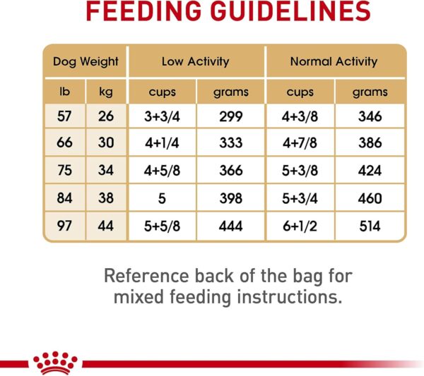 Royal Canin Labrador Retriever Adult Dry Dog Food, 30 lb bag - Image 8