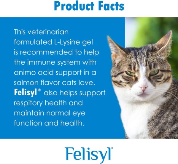 L-Lysine Gel for Cats - Immune System Support - Supplement Support for Healthy Tissue, Respiratory, and Vision - Salmon-Flavored - Made in The USA - 5 oz - Image 7