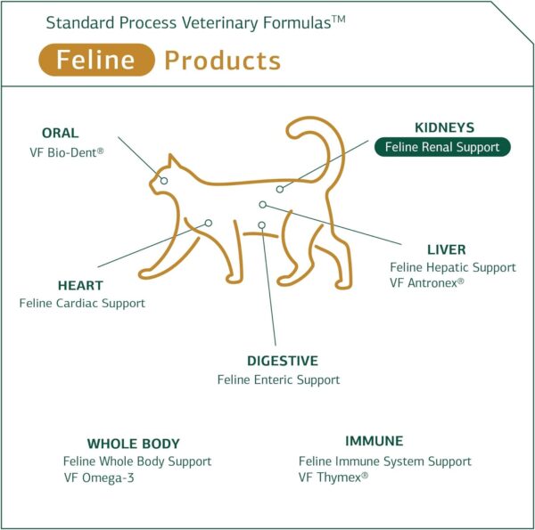 Standard Process - Feline Renal Support - Kidney and Urinary Health for Cats - 90 Tablets - Image 5