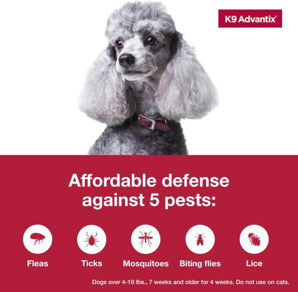 K9 Advantix Flea, Tick & Mosquito Prevention for Dogs 4-10 lbs. | Flea Drops for Small Dogs | Apply Monthly | 2 Treatments - Image 3