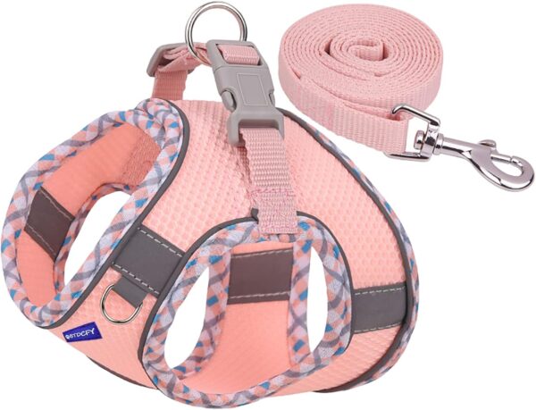 Step in Mesh Dog Harness and Leash Set Breathable Air Mesh Reflective Escape Proof Dog Harness Vest No Choke Lightweight Mesh Dog Harness - Image 2