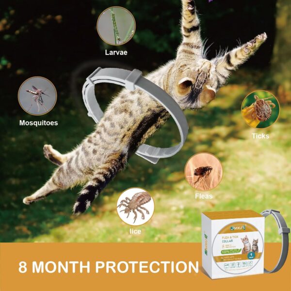 Flea and Tick Collar for Cats &Kitten, Natural Essential Oil Flea and Tick Prevention for Cats, 15 Inch, 8 Month Protection, 2 Pack - Image 7