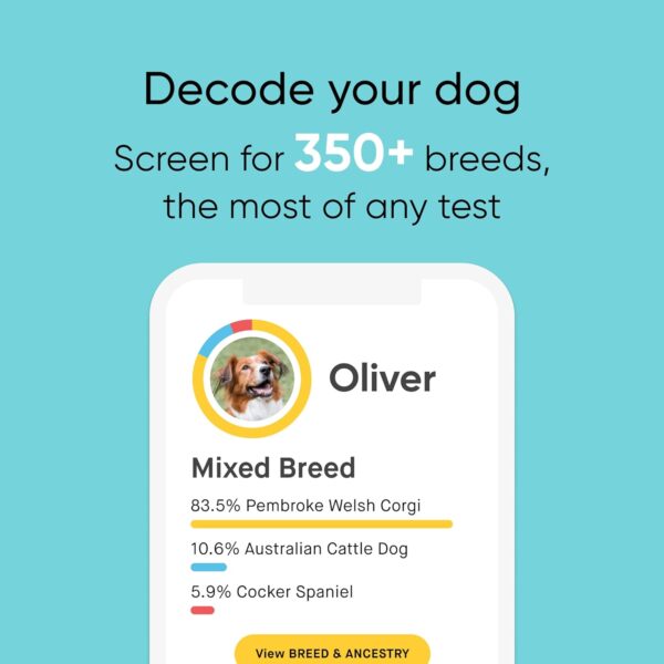 Embark Breed & Health Kit - Dog DNA Test - Discover Breed, Ancestry, Relative Finder, Genetic Health, Traits, COI - Image 3