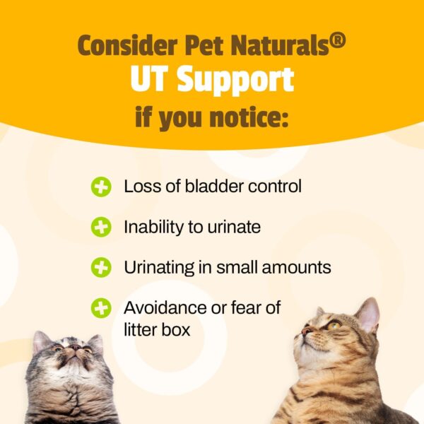 Pet Naturals UT Support Urinary Tract Supplement for Cats, 60 Chews - Image 4