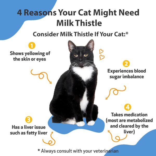 Pet Wellbeing Milk Thistle for Cats - Supports Liver Health, Protects Liver - Glycerin-Based Natural Herbal Supplement - 2 oz (59 ml) - Image 2