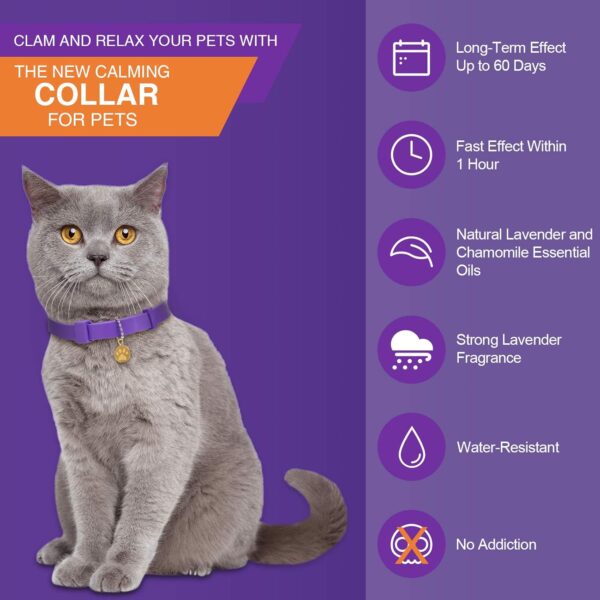 4 Pcs Calming Cats Collar Adjustable Cat Calm Collar Lavender Scent Relaxing Cat Collar with 2 Pendant for Puppies Cats Reduce Stress Aggression Anxious, up to 15 Inches (Purple, Gold) - Image 3