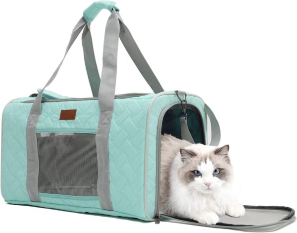 HSC PET Cat Carrier Small Dog Soft-Sided Quilted Pet Pups Bag Fit Luggage Case Traveling Outdoor Go to Vet, Side Pocket,15 lbs Puppy/18 lbs Cat or Kittens (Light Green)