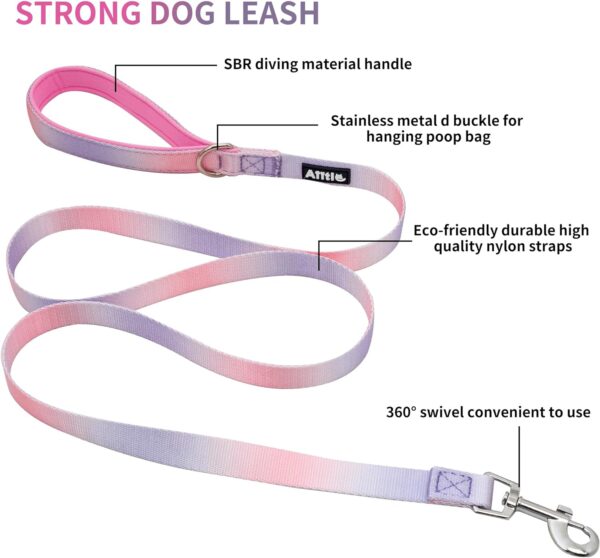 AIITLE Step-in Dog Harness and Leash Set - No Pull Pet Adjustable Halter Harness with A 5FT Leash - Double D ring,Easy Fit - Easy Walk Running Training for Large Breed Dogs,Pink-Purple Gradient L - Image 4