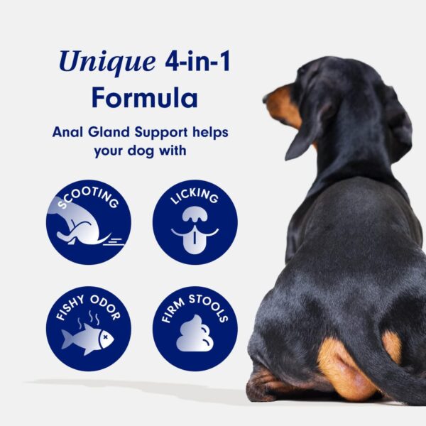 Petlab Co. Anal Gland Support – Target Scooting & Fishy Odor - Supports Anal Gland Health While Helping to Optimize Stool Consistency - Easy to Use Powder - Image 2