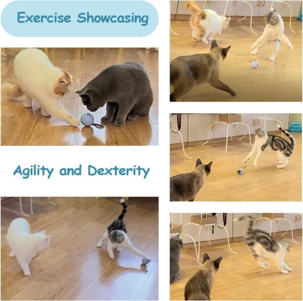 Migipaws Interactive Cat Ball Toy Set, Fun Tracker, Automatic Rolling Chase Ball with Fluffy Tail, A Small Mice, Rechargeable（White） - Image 5