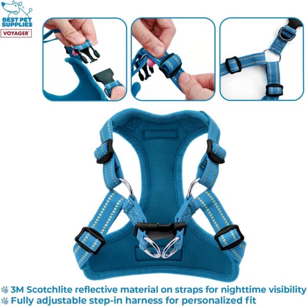 Best Pet Supplies Voyager Adjustable Dog Harness with Reflective Stripes for Walking, Jogging, Heavy-Duty Full Body No Pull Vest with Leash D-Ring, Breathable All-Weather - Harness (Turquoise), S - Image 2