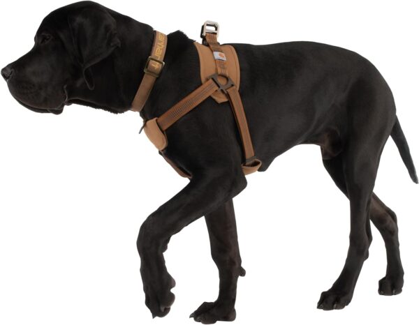 Carhartt Nylon Duck Training Dog Harness, Carhartt Brown, Large - Image 4