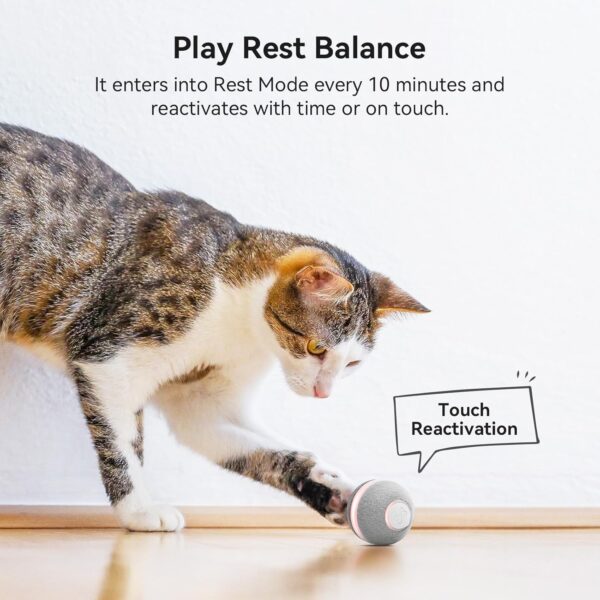 Cheerble Smart Interactive Cat Toy, Automatic Moving Bouncing Rolling Ball for Indoor Cat Kitten, Peppy Pet Ball with Lights and Bell, Grey - Image 5