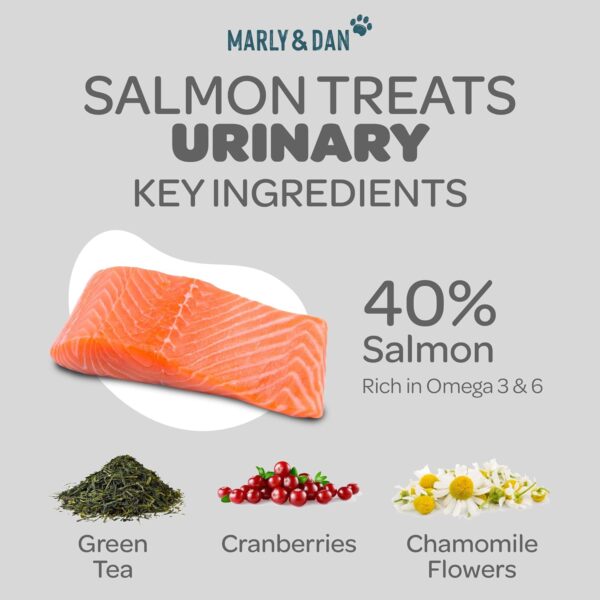 Marly & Dan Salmon Treats for Cats with Brewers Yeast & Green Tea, Urinary Recipe - Image 4