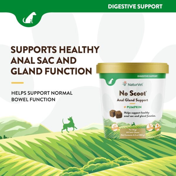 NaturVet - No Scoot for Dogs - 60 Soft Chews - Plus Pumpkin - Supports Healthy Anal Gland & Bowel Function - Enhanced with Beet Pulp & Psyllium Husk - Image 3