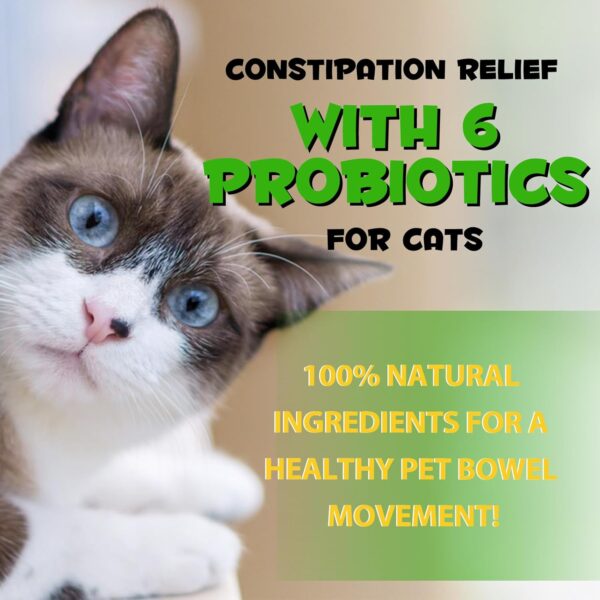 Cat Constipation Relief, Cat Constipation Liquid Drops Supports Cats Laxative Relief - Pet Herbal Supplements for Cats, Cat Laxative Constipation Relief, Chicken Flavour - 2 Fl Oz / 60ml - Image 9