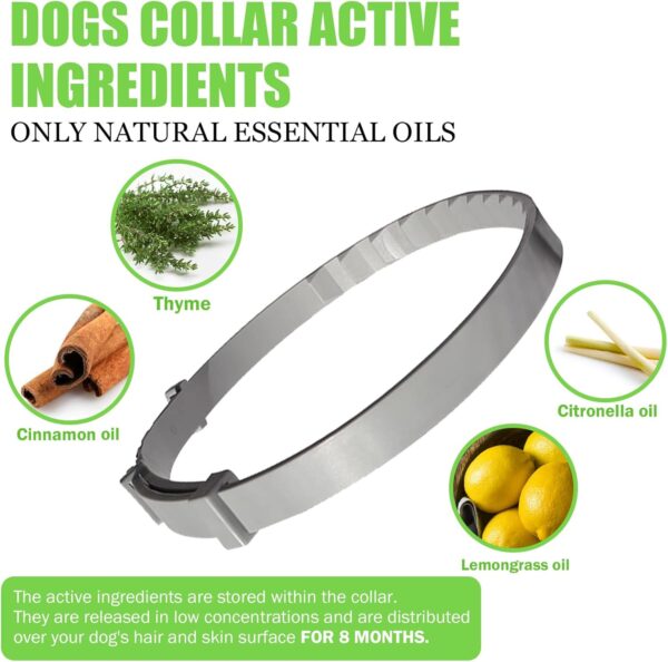 Flea Collar for Dogs, Dog Flea Collar 8 Months Protection, Flea and Tick Collar for Dogs, Flea Prevention for Dogs 2 Pack with Comb and Prevention Treatment Drop - Image 5